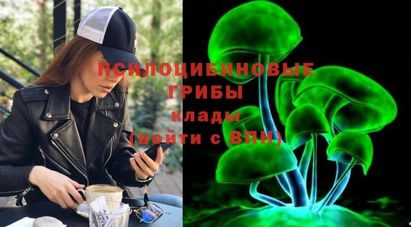 винт Белокуриха